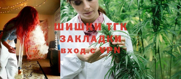 mix Пересвет