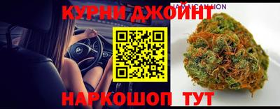 гашик Аргун