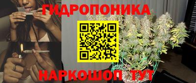 гашик Аргун