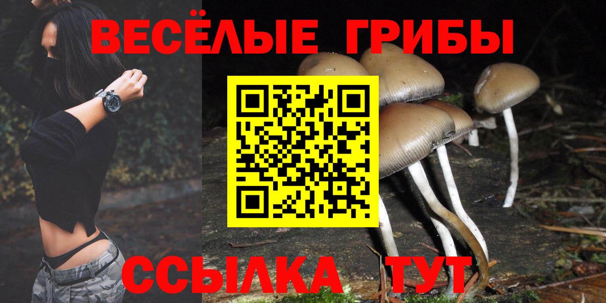 Псилоцибиновые грибы мицелий  Псилоцибиновые грибы ЛСД  Баксан 