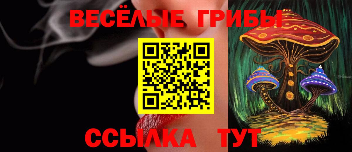Альфа ПВП Баксан