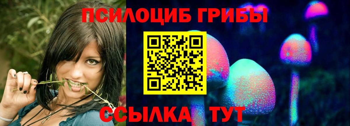 Галлюциногенные грибы Magic Shrooms Баксан
