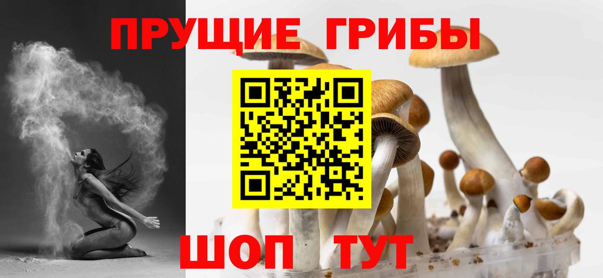 Галлюциногенные грибы прущие грибы Баксан