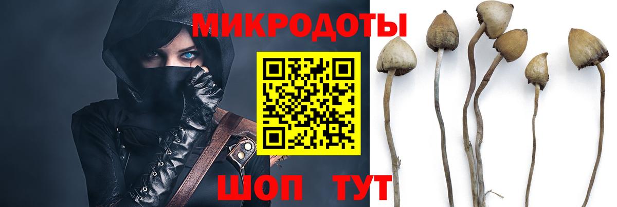 Псилоцибиновые грибы Psilocybe  дарнет шоп  Баксан  Вход с VPN 